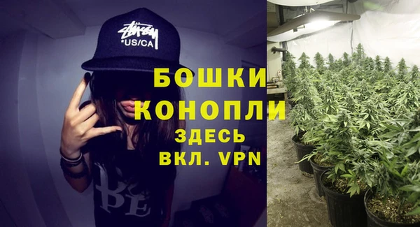 наркотики Бородино