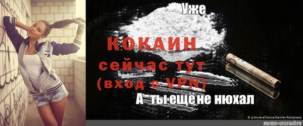 соль курить ск Богородск