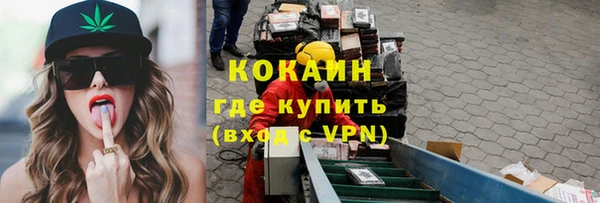 твердый Богданович